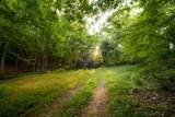 1462 Highway 48 - Photo 43
