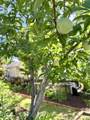 511 Colby Street - Photo 61