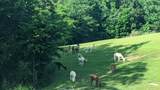 3252 Highway 130 - Photo 77