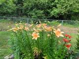 2172 Columbia Hwy - Photo 16