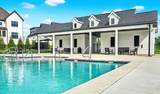 5965 Hunt Valley Drive - Photo 7