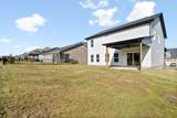 494 Spiderwort Dr - Photo 48