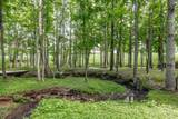 3505 Grove Park Dr - Photo 92