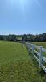 171 Ashmore Rd - Photo 52