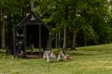 5024 Cobbler Ridge Rd - Photo 49