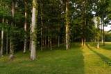 5024 Cobbler Ridge Rd - Photo 51