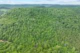 333 Cubbins Hollow Rd - Photo 28