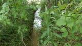 0 Lonnie Reecer Rd - Photo 41
