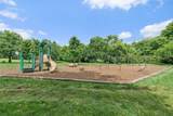 503 Hollyhock Way - Photo 32