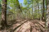 1555 Dog Hollow Road - Photo 13