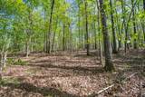 1555 Dog Hollow Road - Photo 19