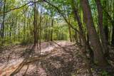 1555 Dog Hollow Road - Photo 6