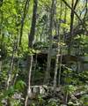 0 Sheep Bluff Road - Photo 1