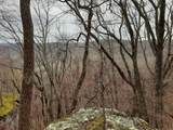0 Sheep Bluff Road - Photo 10