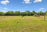 3885 Highway 231 - Photo 19