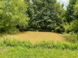 8695 Miller Rd - Photo 5