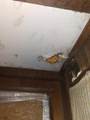 239 Pine Bluff Rd - Photo 11