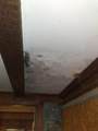 239 Pine Bluff Rd - Photo 10