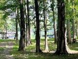 159 Driftwood Dr - Photo 42