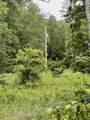 0 Powdermill Branch Rd - Photo 28