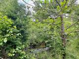 0 Powdermill Branch Rd - Photo 31