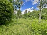 0 Powdermill Branch Rd - Photo 33
