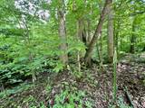 0 Powdermill Branch Rd - Photo 41