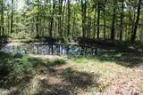 5071 Old Highway 52 - Photo 50