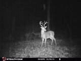 5071 Old Highway 52 - Photo 55