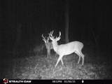 5071 Old Highway 52 - Photo 56