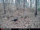 5071 Old Highway 52 - Photo 57