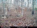 5071 Old Highway 52 - Photo 58