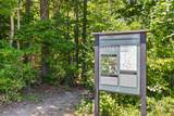 3814 Inlet Loop - Photo 41
