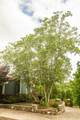 692 Tanglewood Dr - Photo 6