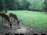 2825 Oregon Road - Photo 55