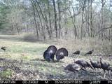 2825 Oregon Road - Photo 58
