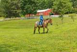 196 Moore Rd - Photo 65