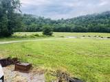 486 Salt Lick Creek Rd - Photo 10