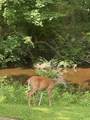 2524 Distillery Rd - Photo 39