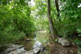104 Branham Mill Rd - Photo 53