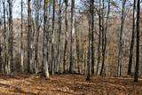 7890 Lampley Rd - Photo 16