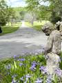 1800 Grey Pointe Dr - Photo 86