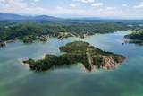 0 Douglas Lake Island - Photo 12