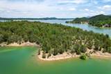 0 Douglas Lake Island - Photo 14