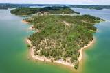 0 Douglas Lake Island - Photo 17
