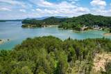 0 Douglas Lake Island - Photo 19
