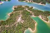 0 Douglas Lake Island - Photo 25