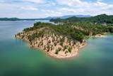 0 Douglas Lake Island - Photo 6