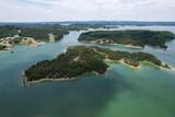 0 Douglas Lake Island - Photo 9