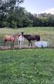 2665 Center Point Rd - Photo 11
